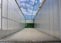 STOCK - STAS BioSTAR 83498