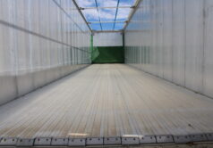 STOCK - STAS BioSTAR 83498